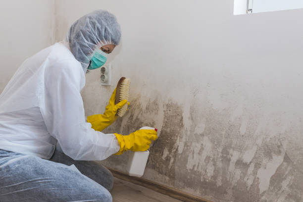 Best Residential Mold Inspection & Testing  in Troy, NC