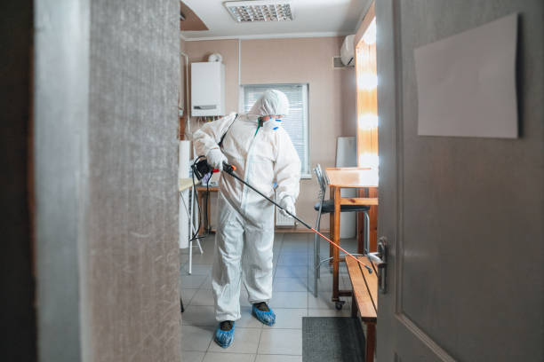 Best Asbestos and Lead Testing During Mold Inspection  in Troy, NC