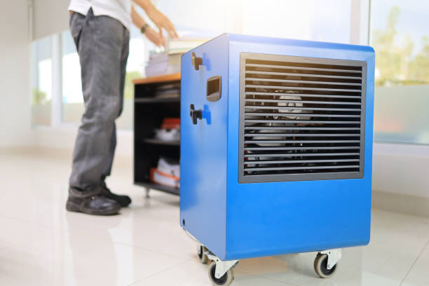 Best Environmental Consulting for Mold Prevention  in Troy, NC