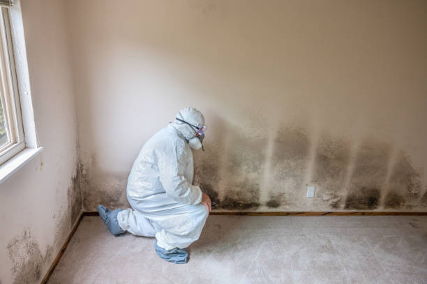 Best Forensic Mold Investigation  in Troy, NC